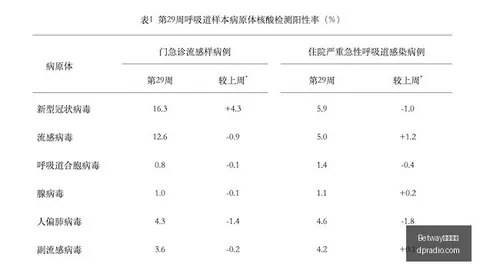 2026最新：沙特空袭也门北部，胡塞武装伤亡统计曝光